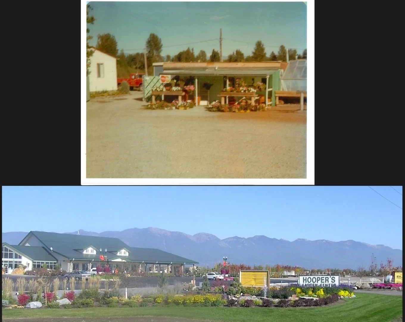 The original garden center