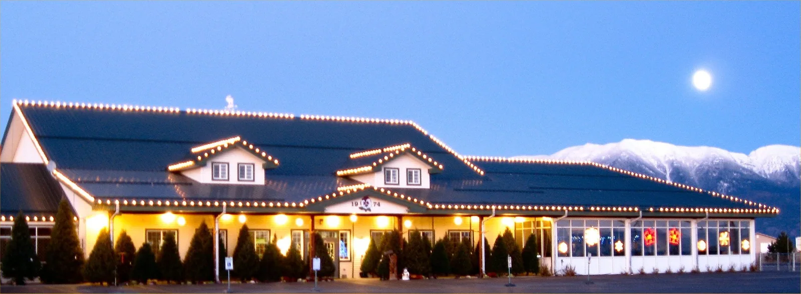 The garden center, fifty years on