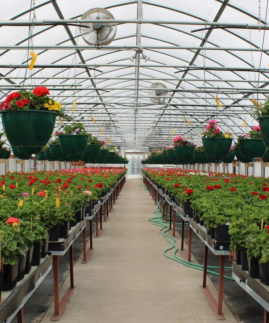 Greenhouse production aisle
